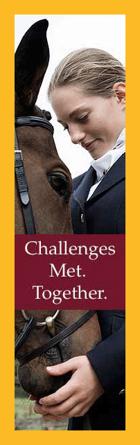 Culver_skyscraper_banner_ad_01 – GrahamSpencer